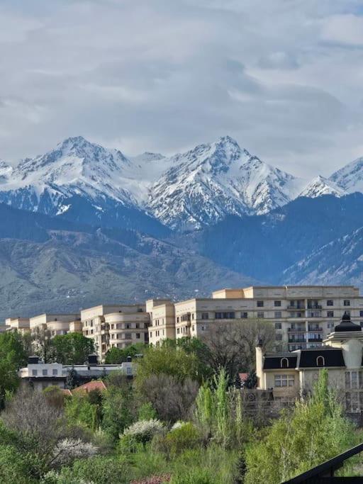 Apartment от 5 суток